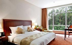 Hongzhushan Hotel Mount Emei